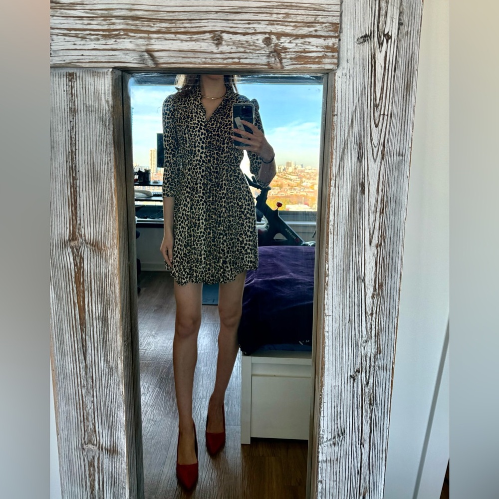 Mango Print Dress